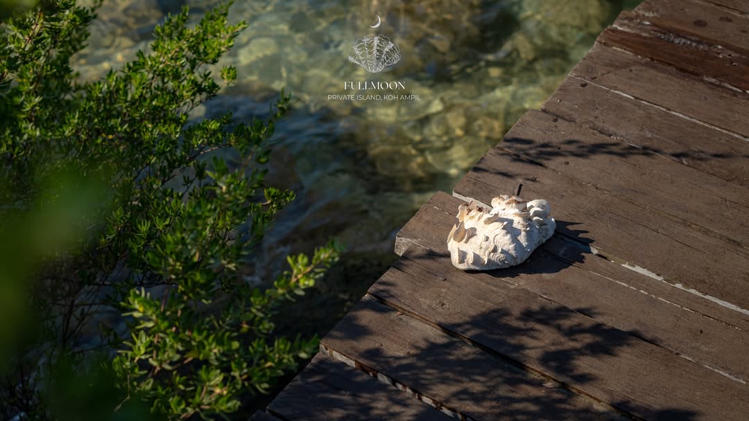 Marine Biology Specialist